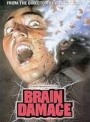 brain dam.jpg